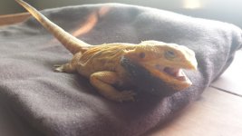 20170831_191336.jpg