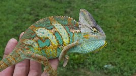 20170708_163938.jpg