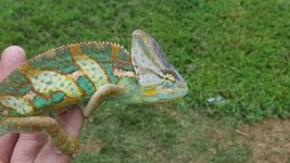20170708_163935.jpg
