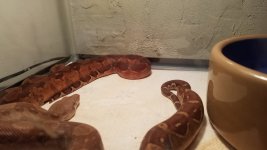 20170620_150936.jpg