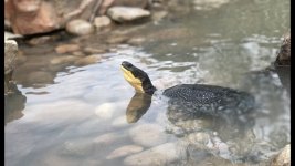 IMG_0180.jpg