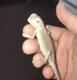 IMG_0699.jpg