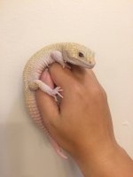 20120715_10156390620684377_167601509_n.jpg