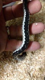 IMG_20170704_143932141_TOP.jpg