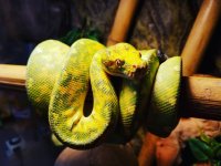 IMG_20170420_173846_784.jpg