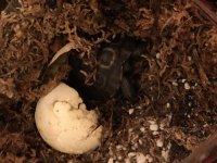 IMG_0787.jpg