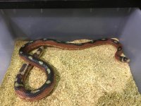 IMG_0157.jpg
