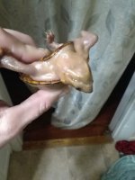 IMG_20170505_160106.jpg