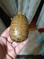 IMG_20170505_160130.jpg