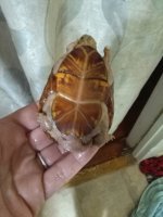 IMG_20170505_160201.jpg