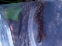 20170606_161708.jpg
