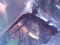 20170606_161738.jpg