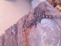 20170606_161753.jpg