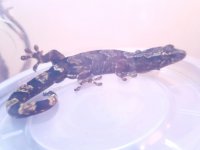 20170606_161807.jpg