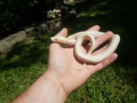 20170619_104305.jpg