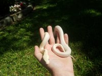 20170619_104312.jpg
