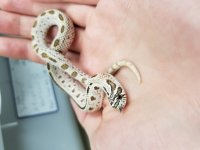 20170522_193649.jpg