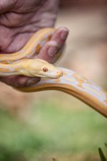 IMG_0424.JPG