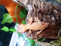 20170606_170016.jpg
