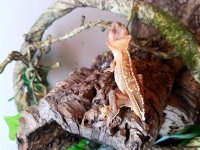 20170606_170038.jpg