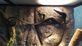 IMG_20170705_093022038.jpg
