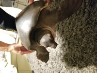20170606_215538.jpg