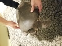20170606_215549.jpg