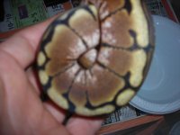 DSCN3059.jpg