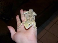 100_2819.jpg