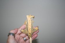 IMG_9855.jpg