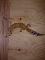 IMG_20170821_205908957.jpg