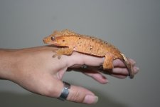 IMG_9482.jpg