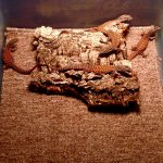 IMG_3747.jpg