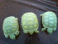 0721171549-03.jpg