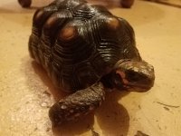 20170506_235529.jpg