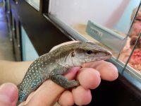 20170306_105056.jpg