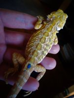 DSC00691.jpg