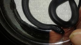 20170901_185254.jpg