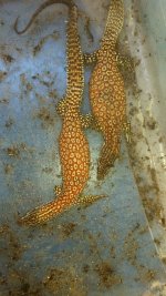 20170404_152333.jpg