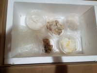 20170821_201050.jpg