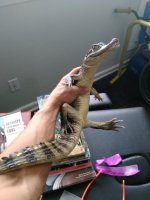 IMG_20170718_153832.jpg