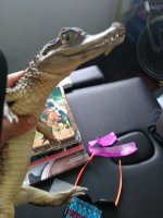 IMG_20170718_153839.jpg
