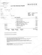 vet bill 1-24-17.jpg
