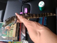 IMG_20170718_153818.jpg