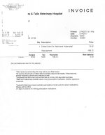 Vet Invoice 2-14-17.jpg