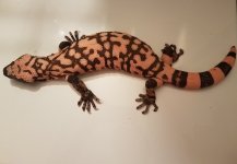 20170808_132741.jpg