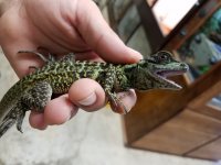 20170607_094223.jpg
