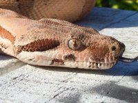 IMG_2560.jpg