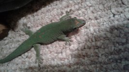 20170324_102354.jpg