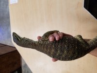 20170604_134000.jpg